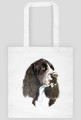 Springer spaniel