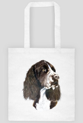 Springer spaniel