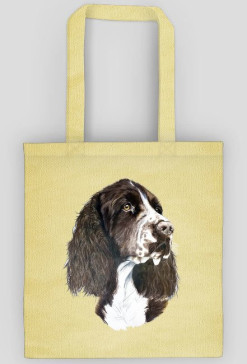 Springer spaniel