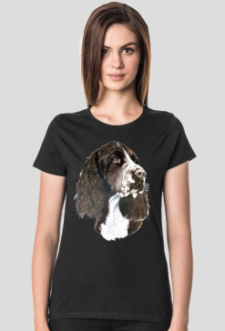 Springer spaniel