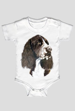 Springer spaniel