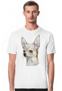 Chihuahua