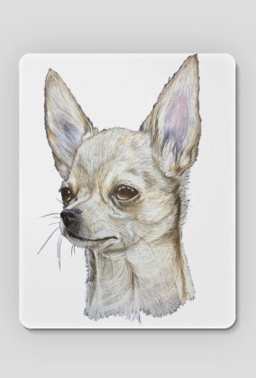 Chihuahua