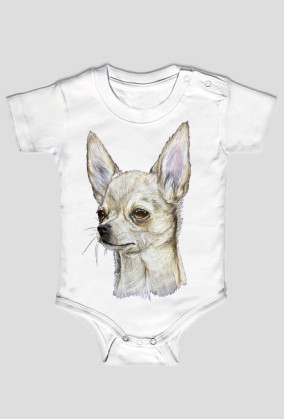 Chihuahua