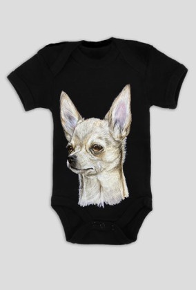 Chihuahua