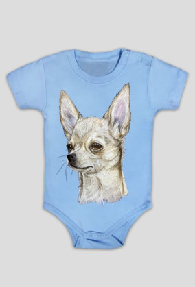 Chihuahua