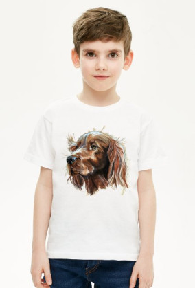 Irish setter