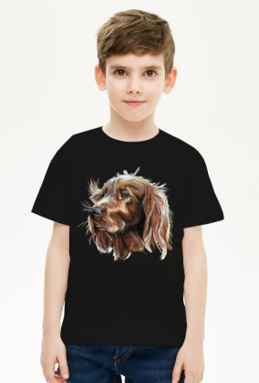 Irish setter