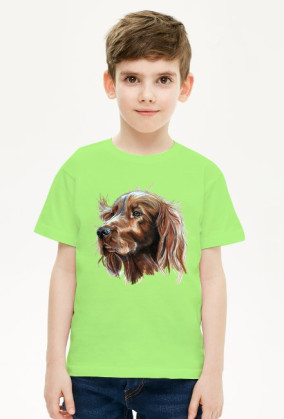 Irish setter