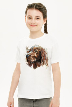 Irish setter