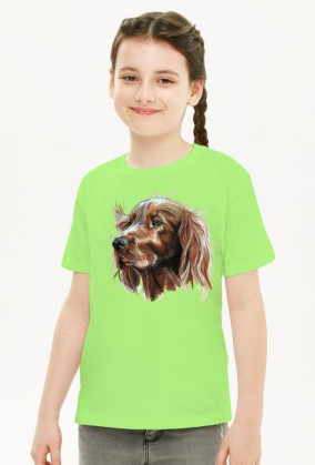 Irish setter