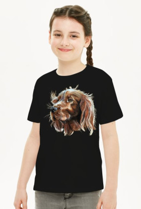 Irish setter