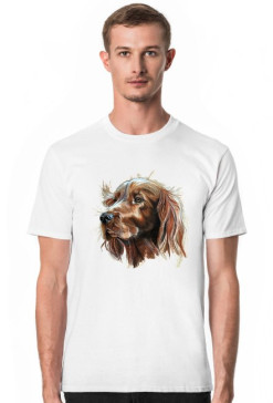 Irish setter