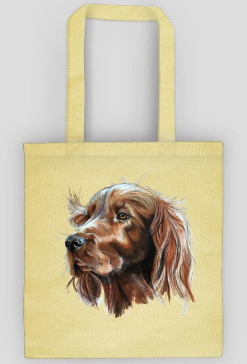 Irish setter