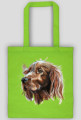 Irish setter