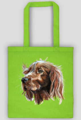 Irish setter