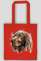 Irish setter
