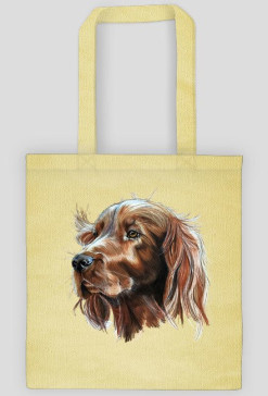 Irish setter