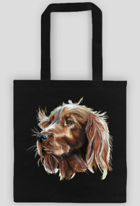 Irish setter