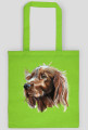 Irish setter