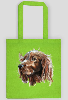 Irish setter
