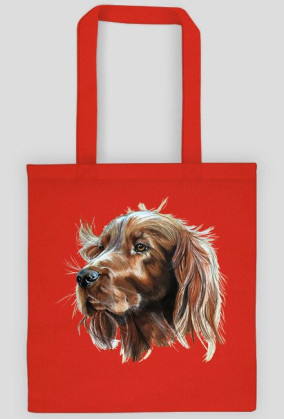 Irish setter