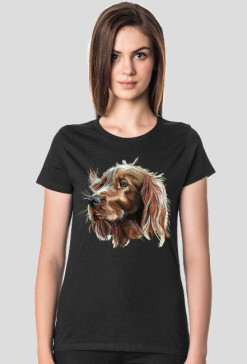 Irish setter