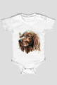 Irish setter