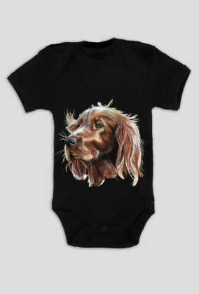 Irish setter