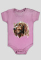 Irish setter