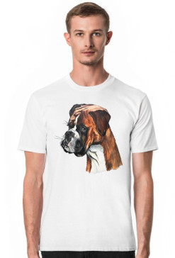 Boxer