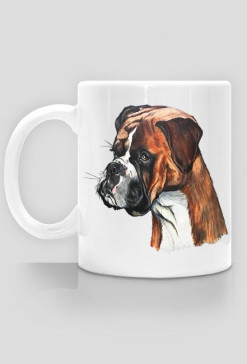 Boxer