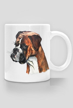 Boxer