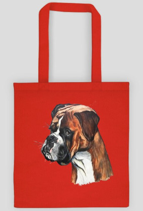 Boxer