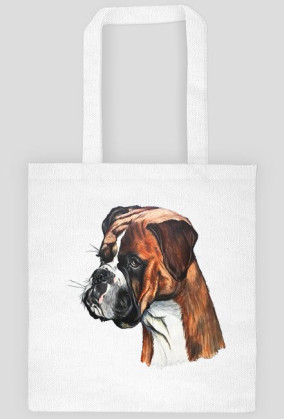 Boxer