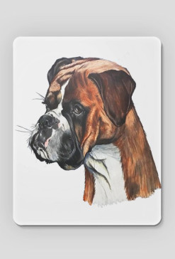 Boxer