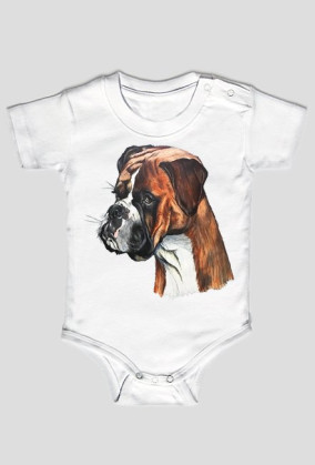 Boxer