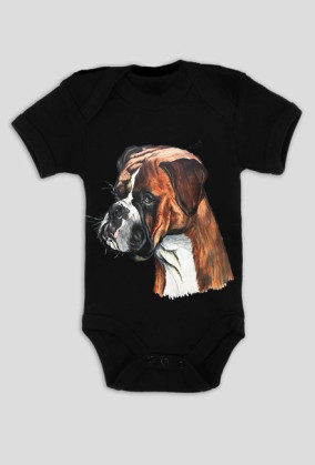 Boxer