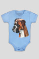 Boxer