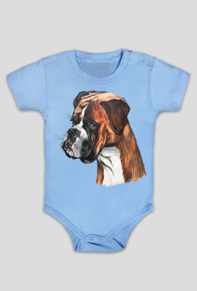 Boxer