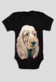 Spaniel