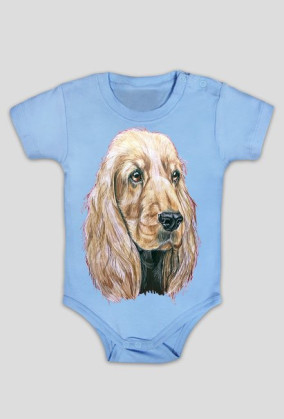 Spaniel