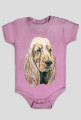 Spaniel