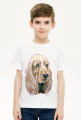 Spaniel