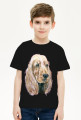 Spaniel