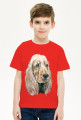 Spaniel