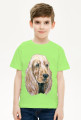 Spaniel