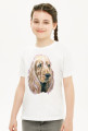 Spaniel