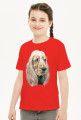 Spaniel