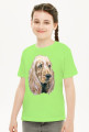 Spaniel